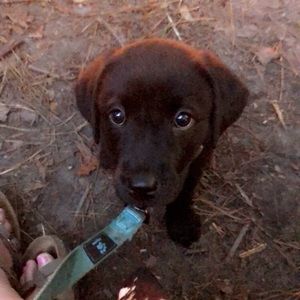 Meet your Posher, Emma